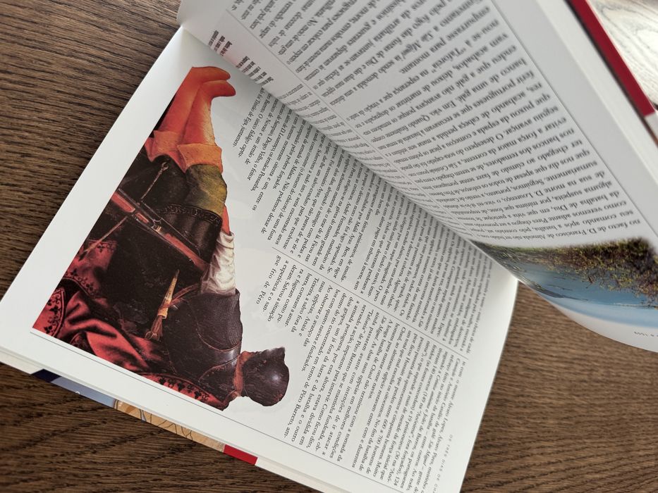 Chaul e Diu - 1508 e 1509 de José Virgílio Amaro Pissarra