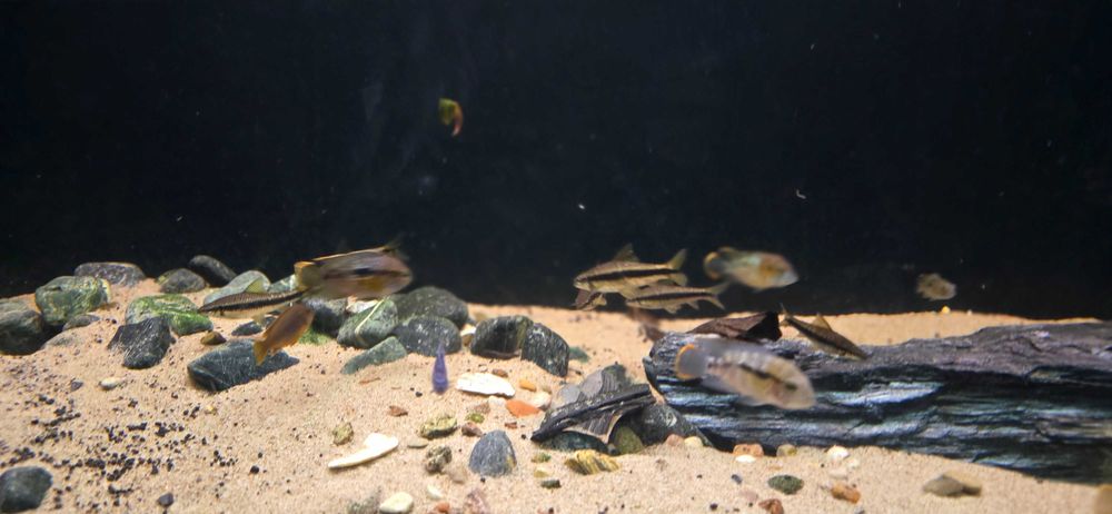 Akwarium 200x70x60cm