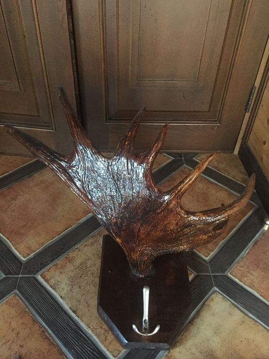 Рога лося -вешалка, в отличном состоянии
