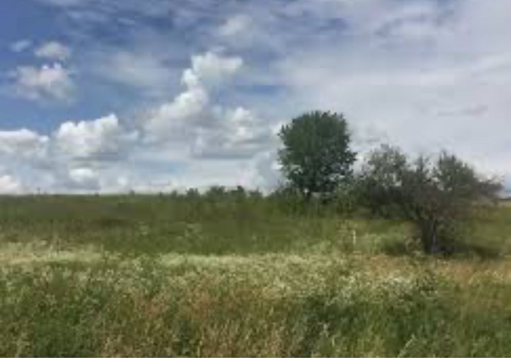 Земельна ділянка 2 га передмістя Києва під виробництво, логістика, садівництво або будівництво