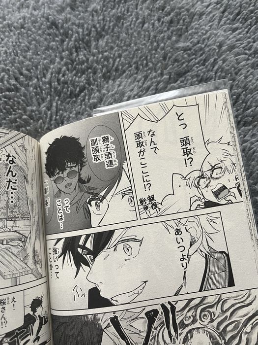 Манга вітролом windbreaker