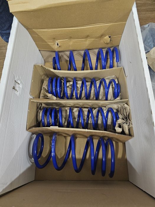 Suspensão  de rebaixamento AP