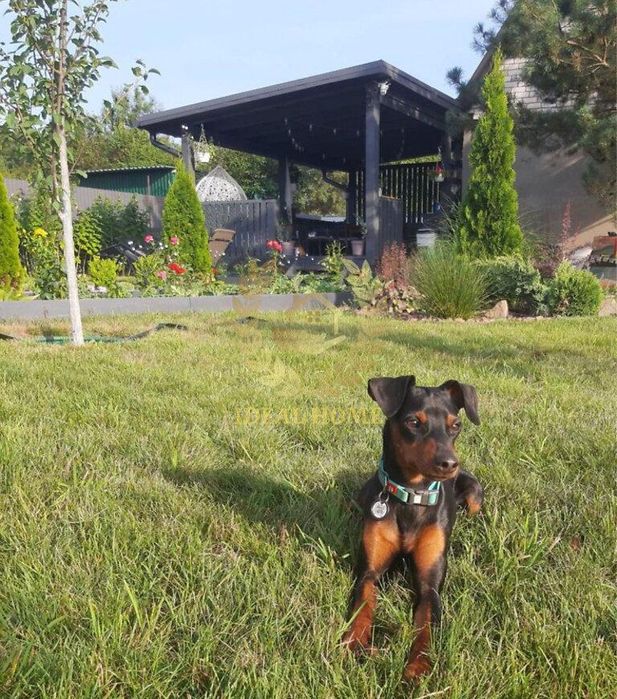 Продаж будинку на 4 кімнати в Рожнах