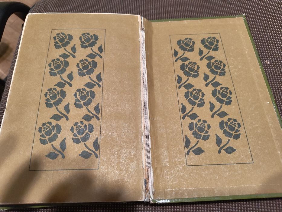 Irena Jurgielewiczowa Ten obcy