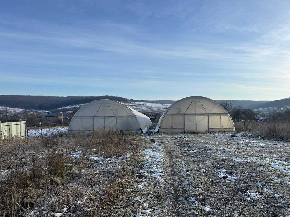 Перспективна ділянка з теплицями для успішного агробізнесу
