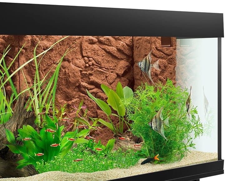 Фон объемный для акваріума Juwel  Cliff Dark 60х55 см. Задній фон