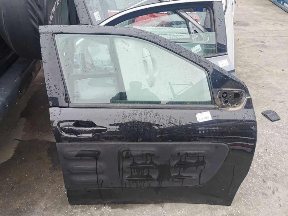 Porta Frente Direita C4 Cactus