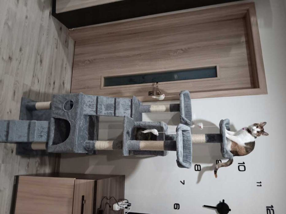 Drapak dla kota z legowiskiem 170 cm domki platformy zabawki szary