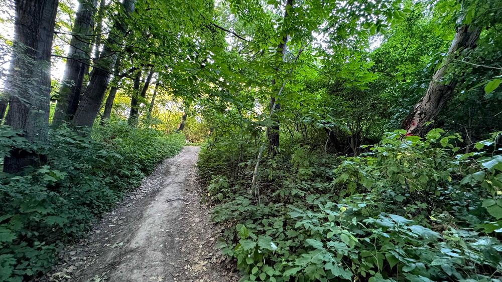 Продаж землі комерційного призначення, Львів, вул. Ланова