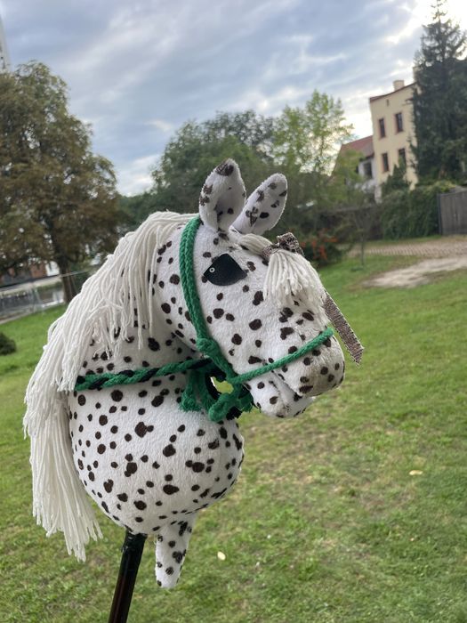 Hobby Horse Vision