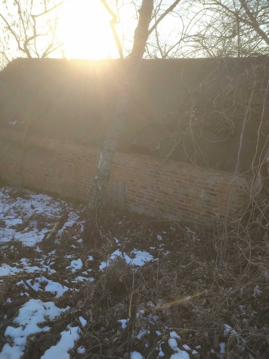 Кирпич Буд матеріали в с Межиріч Сумська область на розбір