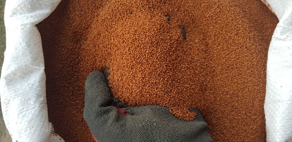 NA OLEJ Len Konopie Krokosz Czarnuszka Ostropest Lnianka i inne