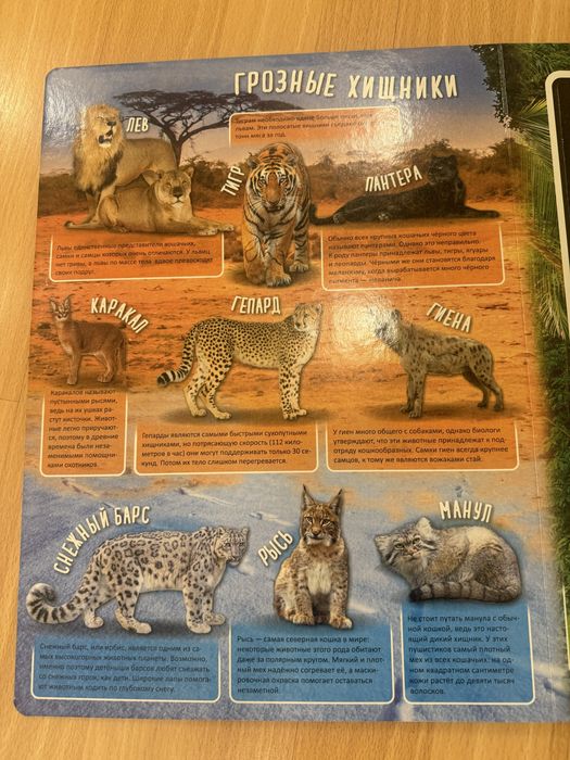 Книга с пазлами «Удивительные животные»