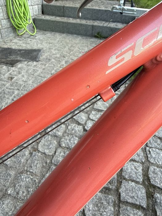 Rower Scott Contessa 24