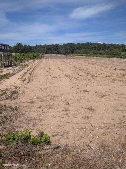 Terreno Foros De Salvaterra Para Construção