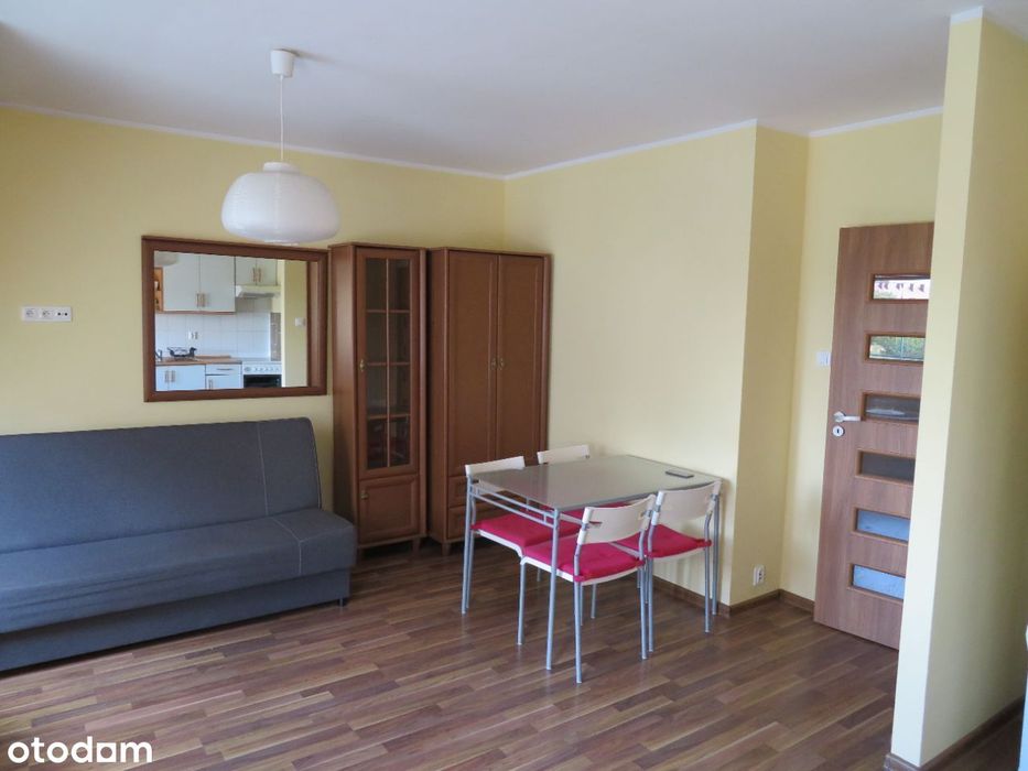 Mieszkanie 1-pokojowe w Poznaniu, 33 m²