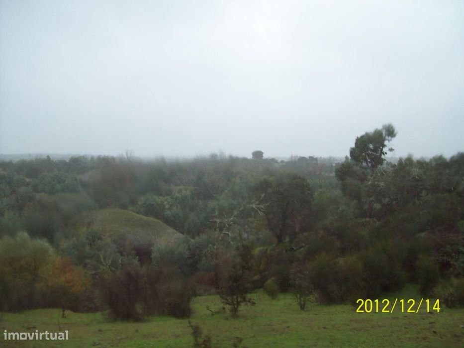 Herdade do Monte da Pedra.