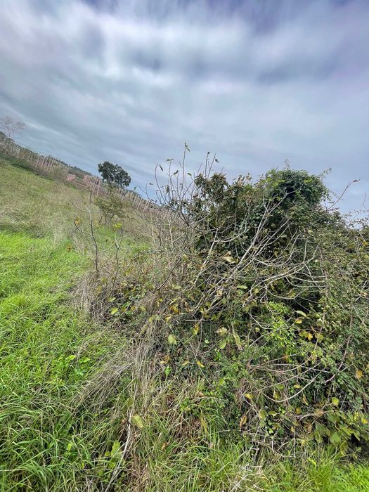 vende-se terreno FONTE DE AREIA com 1490m2 com poço