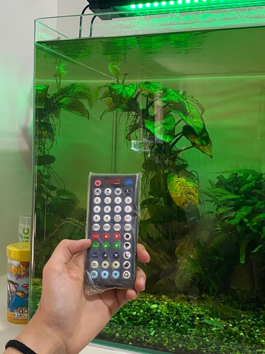 Aquário de 80 Litros