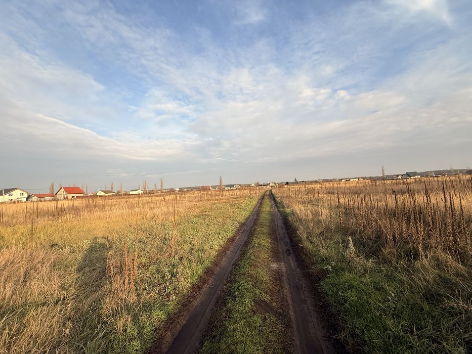 10 сот біля рибного каналу 250м поряд ліс та київське море терміново