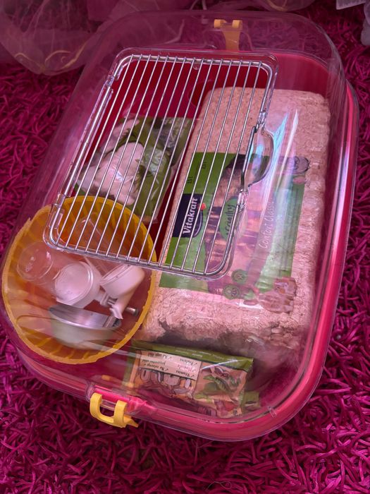 Casinha de hamster