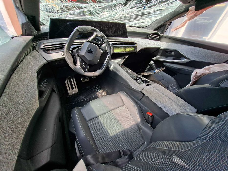 Peugeot E 3008 - Salvado