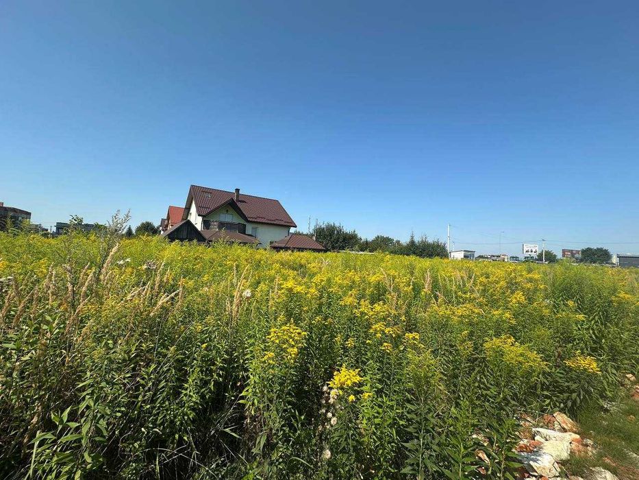 Продаж ділянки в Зубрі біля Рафаелю