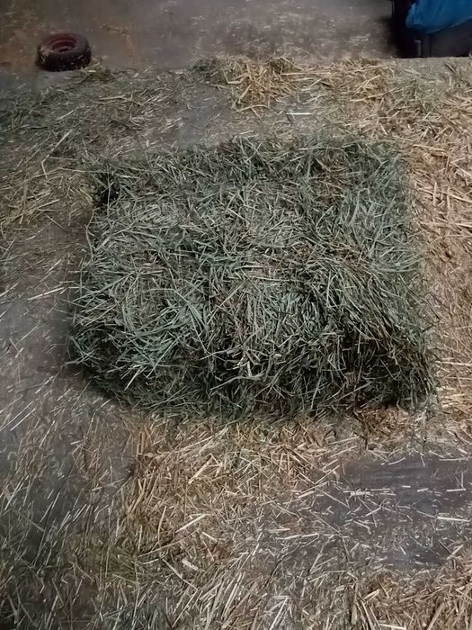 sprzedam siano mała kostka