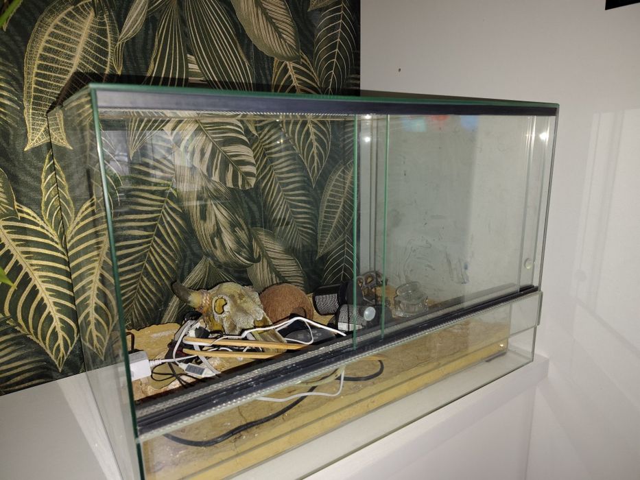 Terrarium z akcesoriami