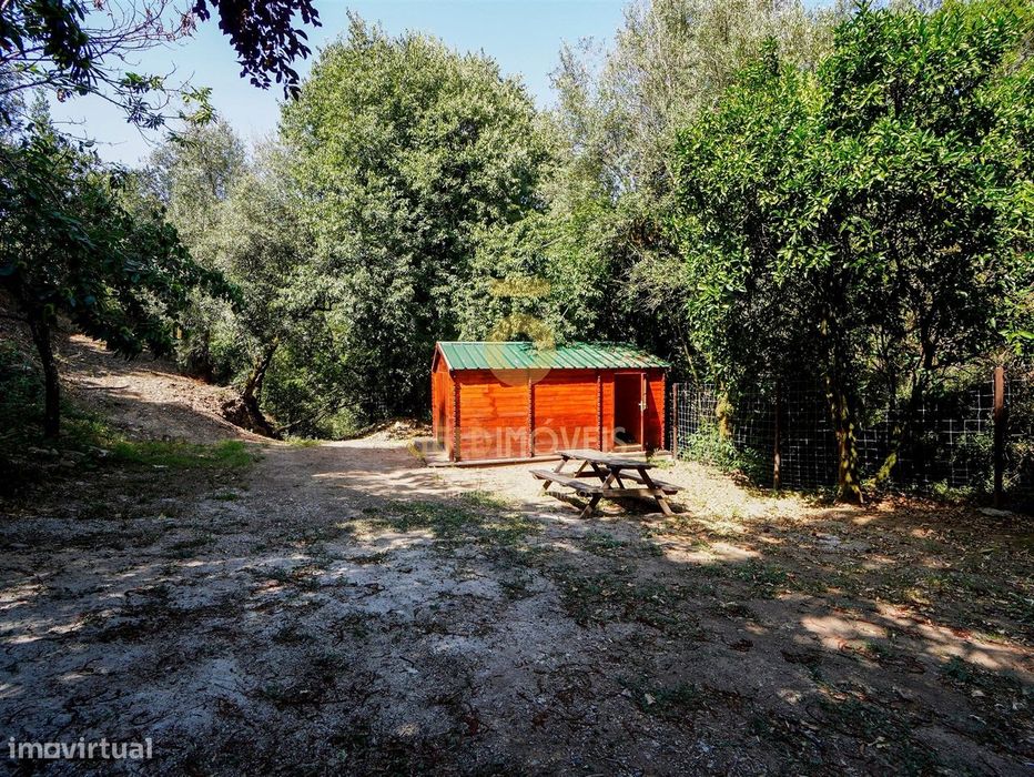 Rustic Land for Sale in Raiva, Pedorido and Paraíso, Castelo de Paiva