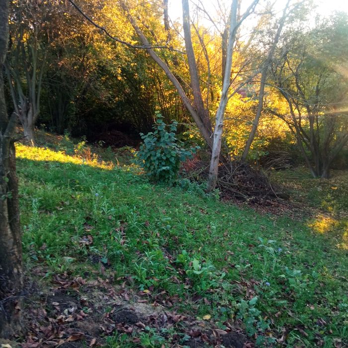 Promocja Noworoczna. Aktualna do konca roku. Sprzedam dzialke budowlan