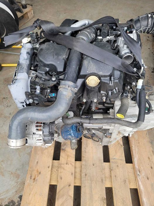 Silnik Kpl Renault Kangoo Ii 1.5 Dci K9k 636 4 miesiace gwarancji