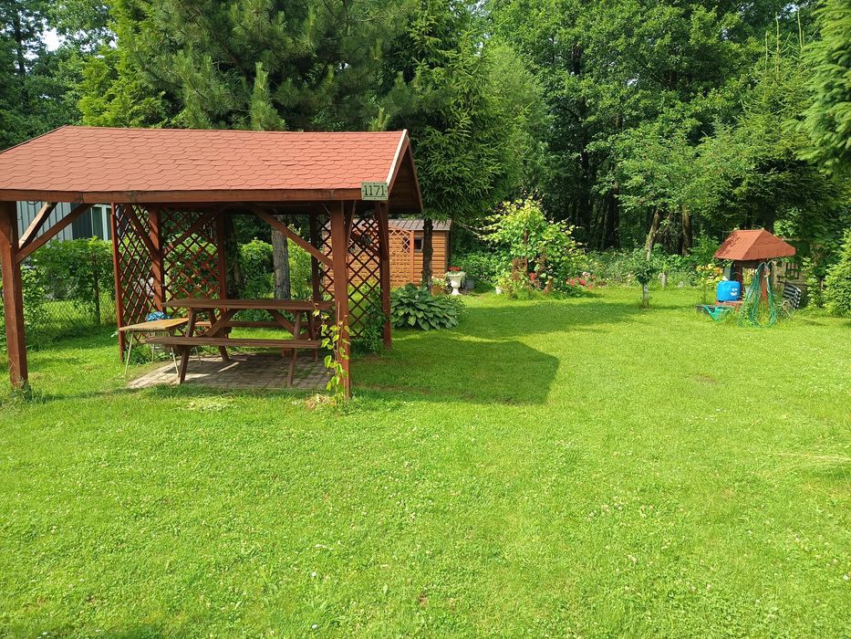Działka ogrodowa ROD 3ary - Widok 2