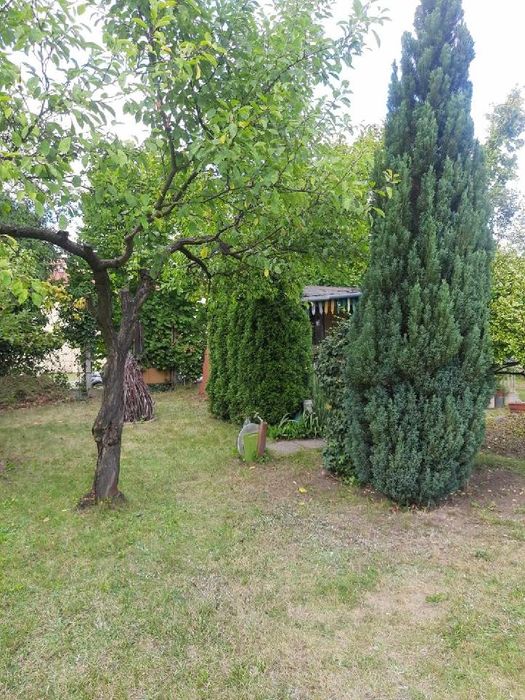Sprzedam działkę ROD "Malinka 2"