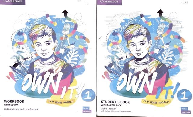 Livro cambridge level 1 own it