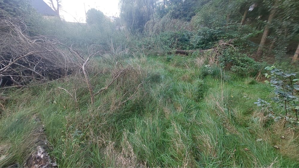 Karczowanie Działek-Pielęgnacja Terenów Zielonych-Mulczowanie-Koszenie