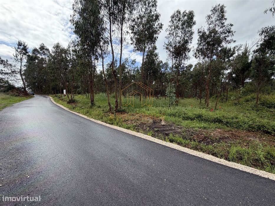 Terreno c/ 10.000m2 - Moinhos da Gândara