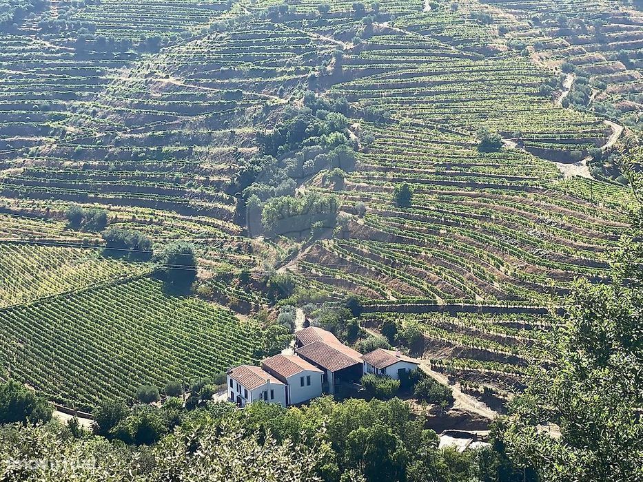 Quinta T4 para venda