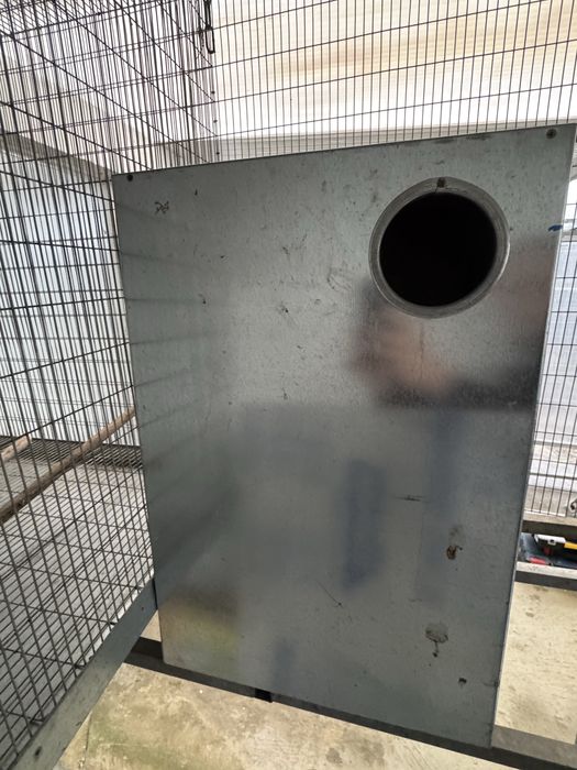 Ninho para papagaios