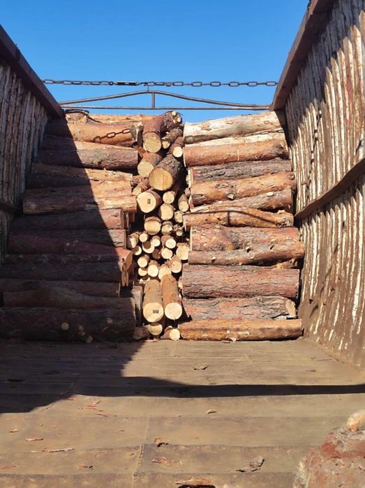 Продам дрова різні породи