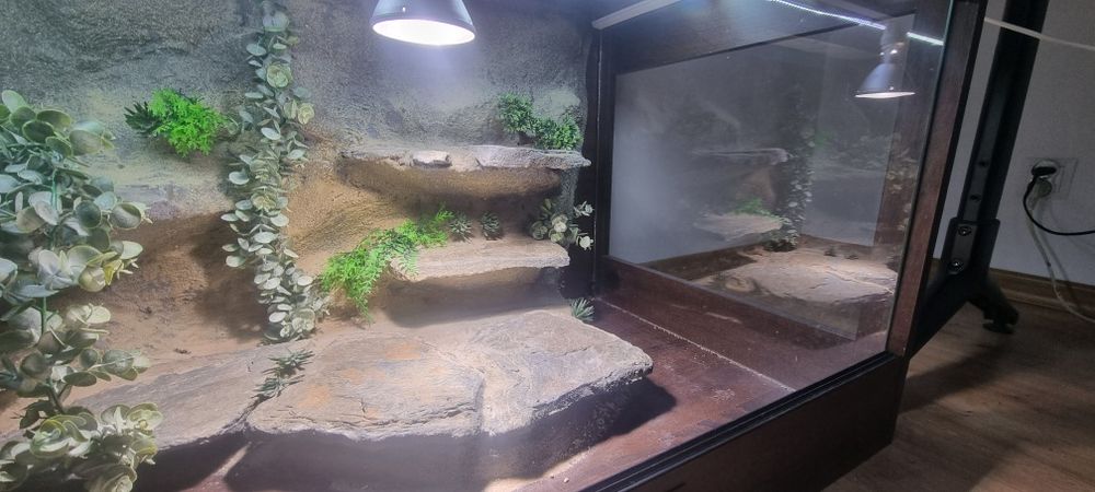 TERRARIUM 120/60/60