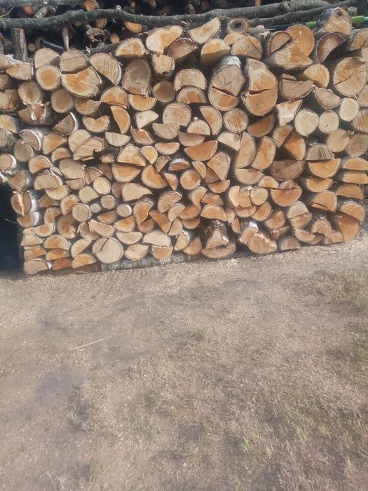 Sprzedam drewno opałowe dębowe