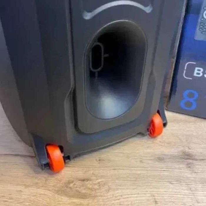 Музыкальная колонка TTD-2820 — мощная акустика для дома и улицы