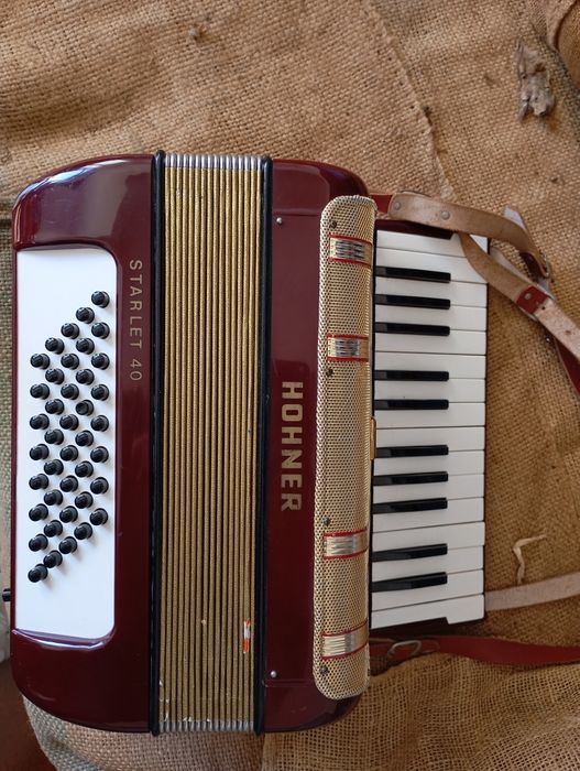 Acordeão hohner starlet 40 bxs