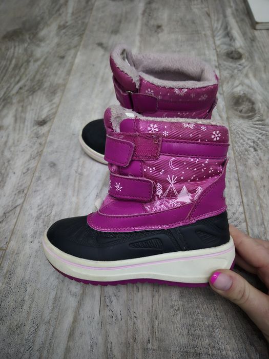 Śniegowce lupilu 26