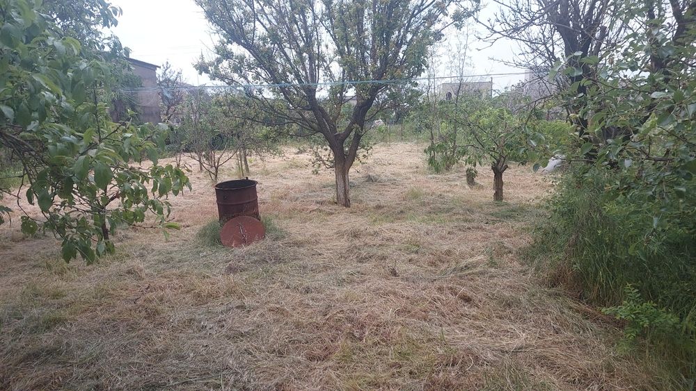 Продам,сдам в аренду дом,дача в Лупарево