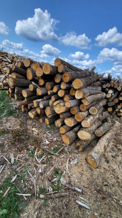 ATRAKCYJNE CENY! Drewno kominkowe opałowe brzoza sosna dąb grab
