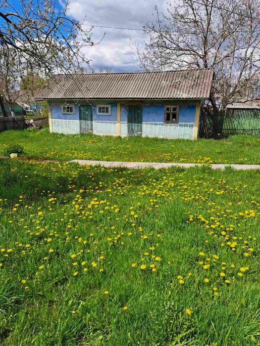 Продаж будинок с. Замістя (господарство)