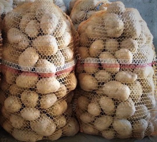 Ziemniaki - 10 zł za 15 kg