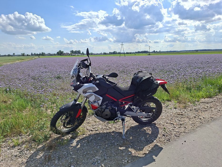 Aprilia